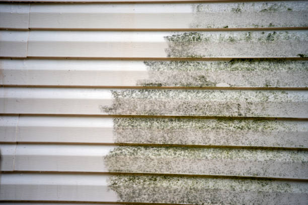 Best Garage Cleanout  in Mechanicstown, NY